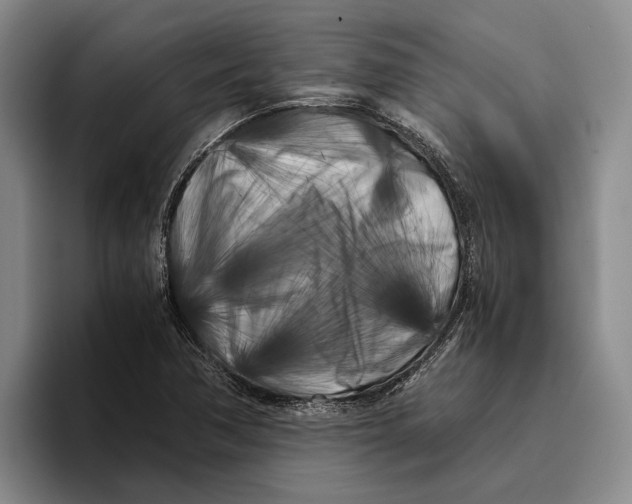 X0000096141362200802151325