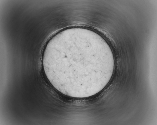 X0000096141363200802151325