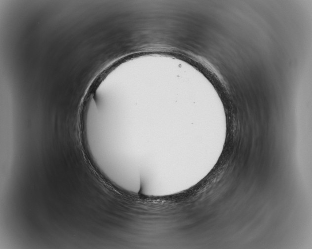X0000096141364200802151325
