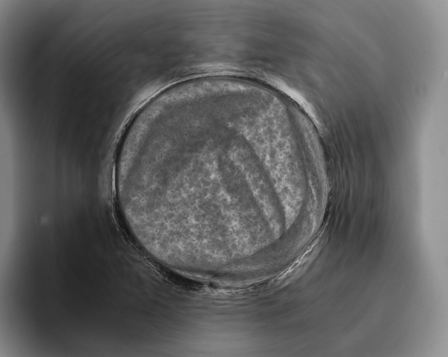 X0000096141365200802151325