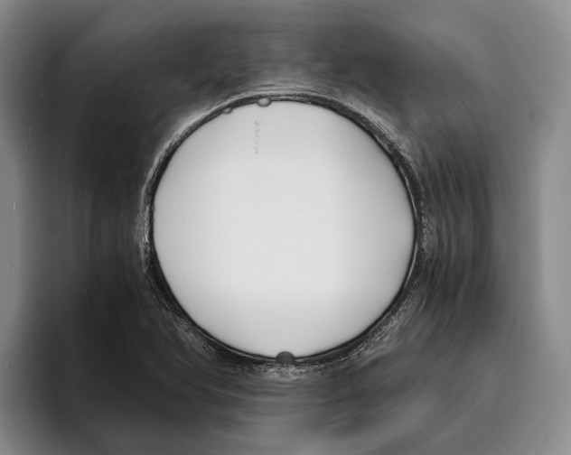 X0000096141366200802151325
