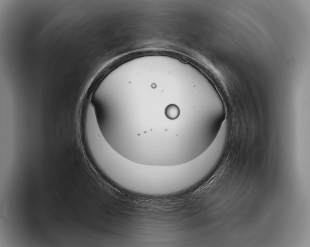 X0000096141368200802151325