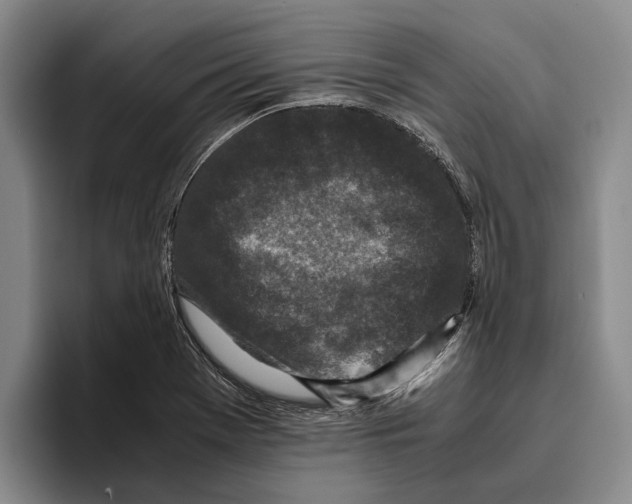 X0000096141369200802151325
