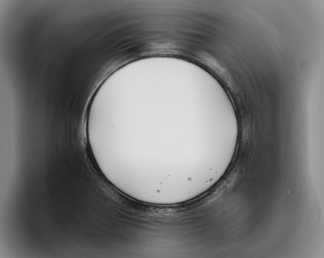 X0000096141370200802151325