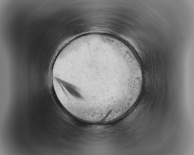 X0000096141371200802151325