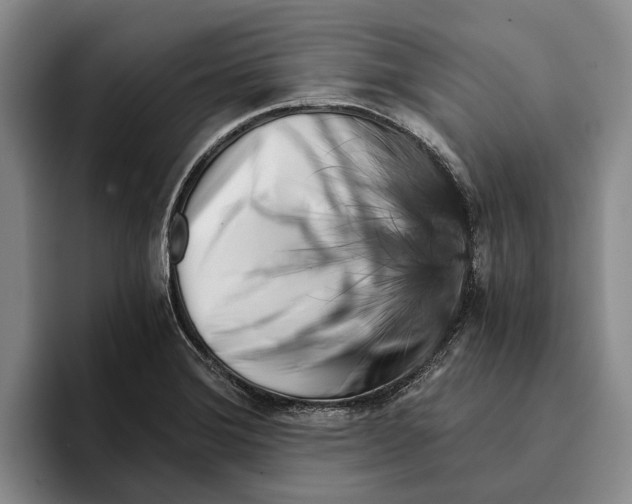 X0000096141372200802151325