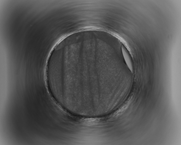 X0000096141373200802151325