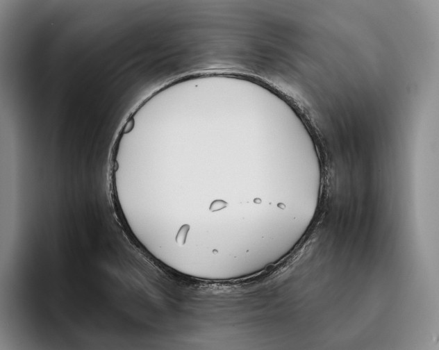 X0000096141374200802151325