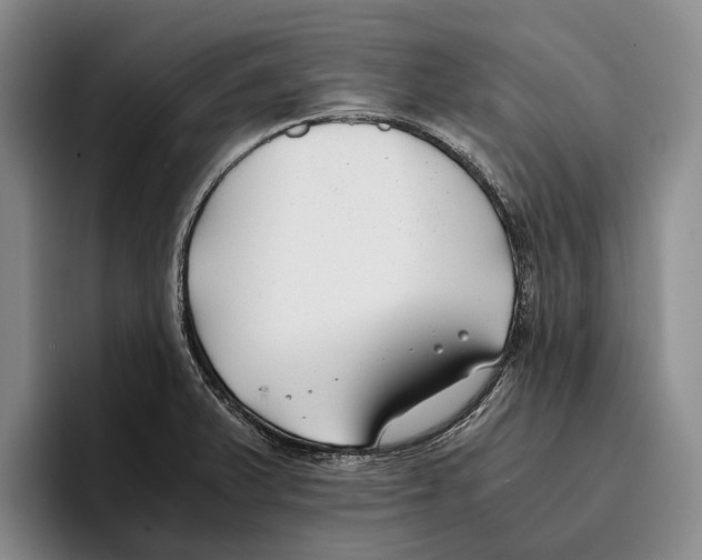 X0000096141375200802151325