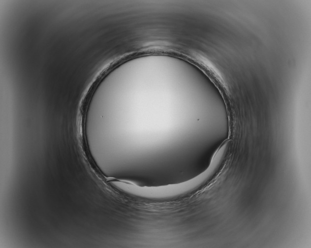 X0000096141376200802151325