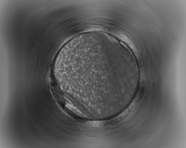 X0000096141377200802151325