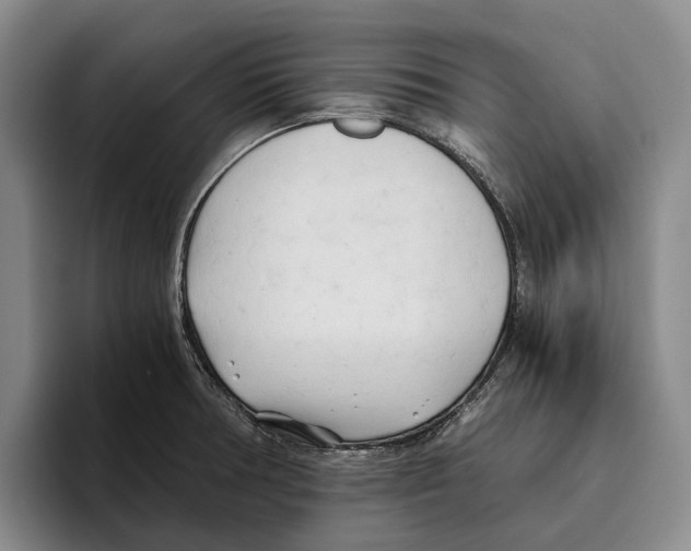 X0000096141378200802151325