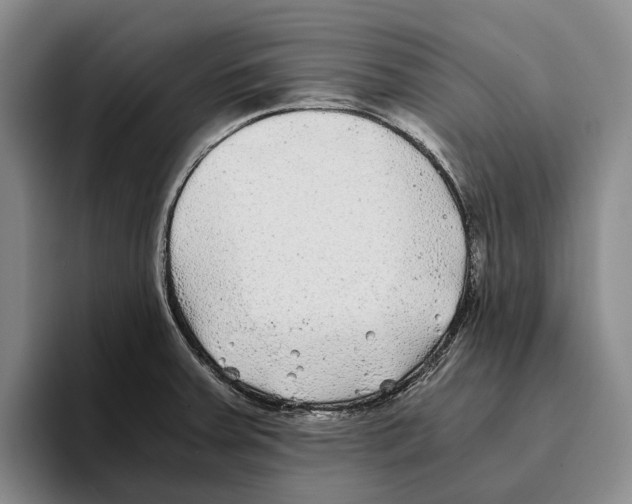 X0000096141379200802151325