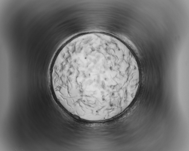 X0000096141380200802151325