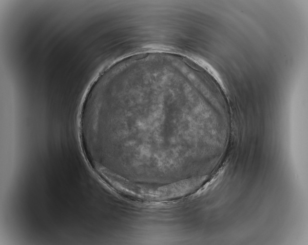 X0000096141381200802151325