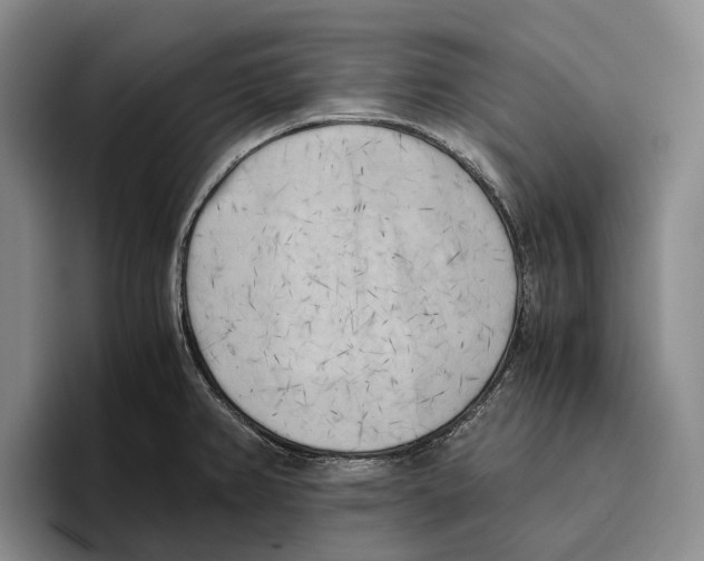 X0000096141382200802151325