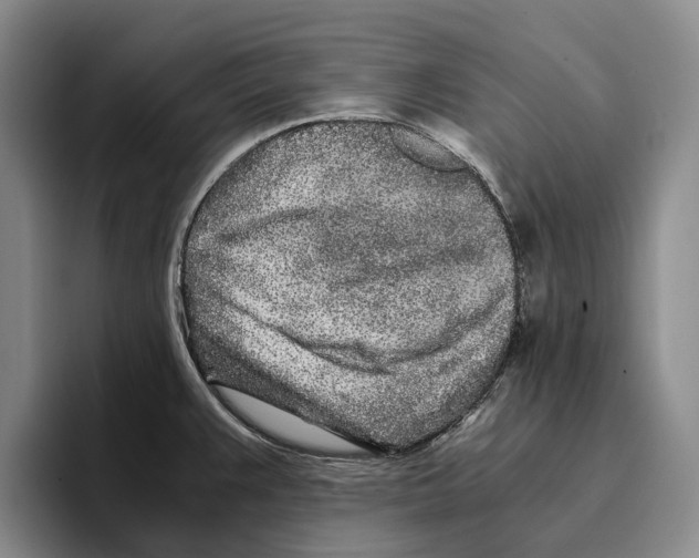 X0000096141383200802151325