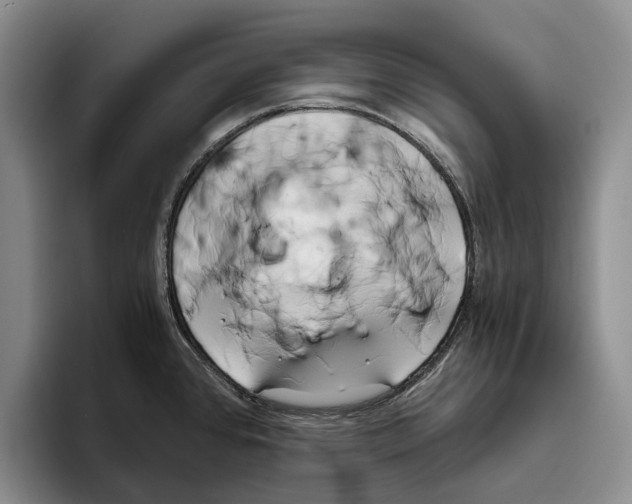 X0000096141384200802151325
