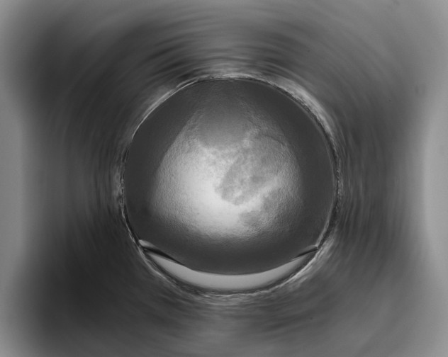X0000096141385200802151325