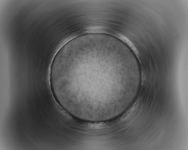 X0000096141386200802151325