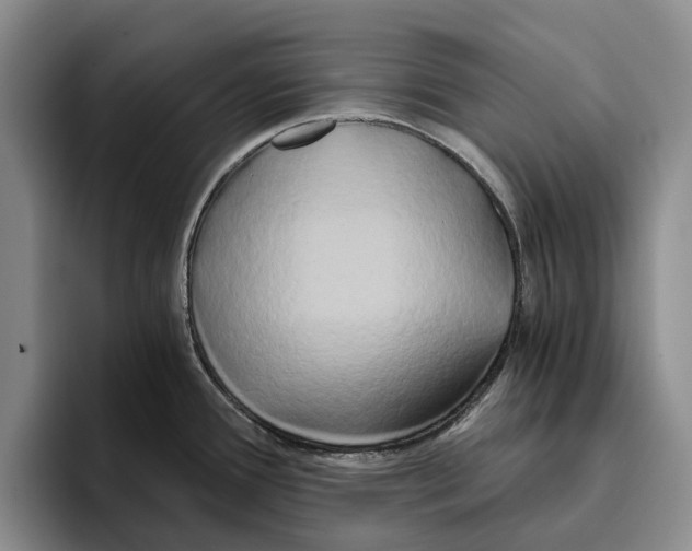 X0000096141388200802151325
