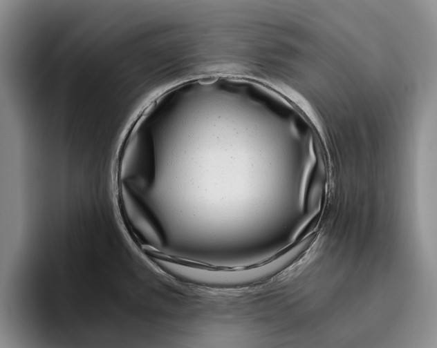 X0000096141389200802151325