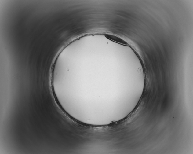 X0000096141390200802151325