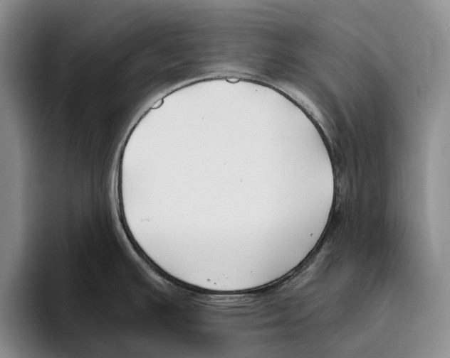 X0000096141391200802151325