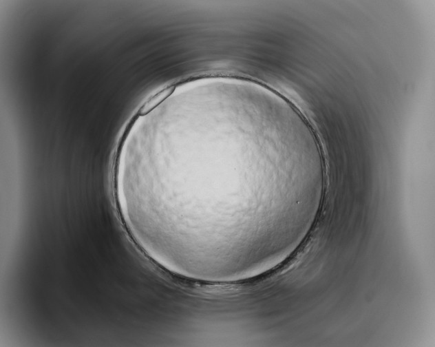 X0000096141392200802151325