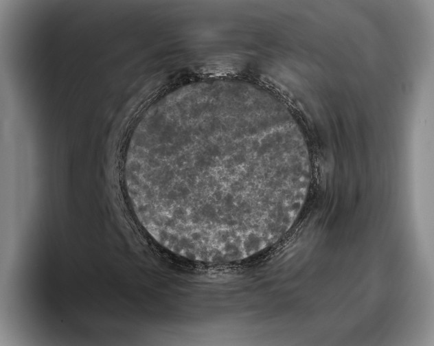 X0000096141393200802151324