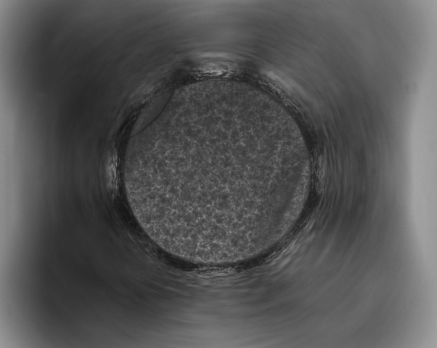 X0000096141394200802151324