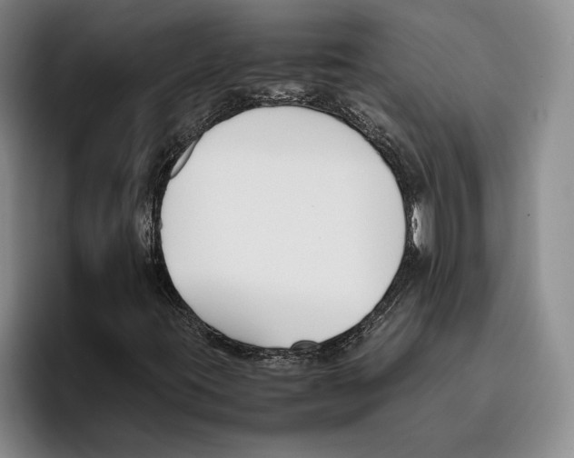 X0000096141395200802151324