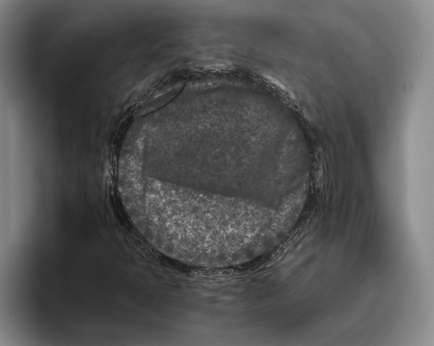 X0000096141397200802151325