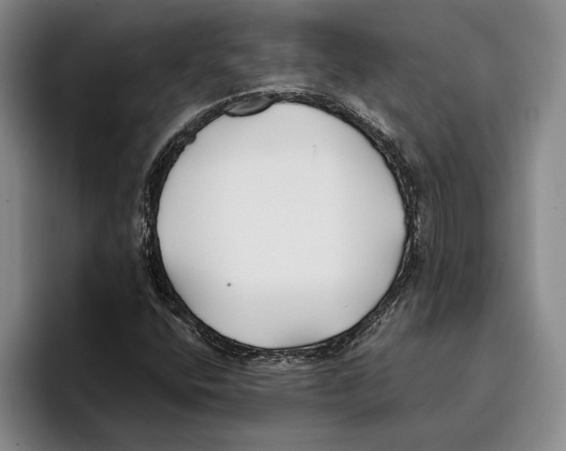 X0000096141400200802151325