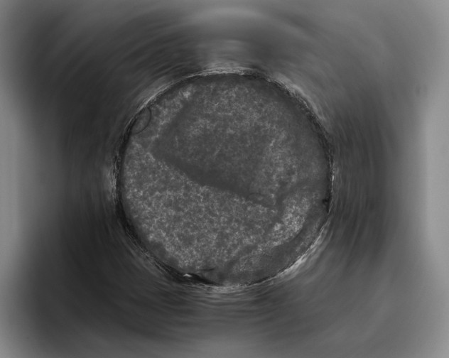 X0000096141401200802151325