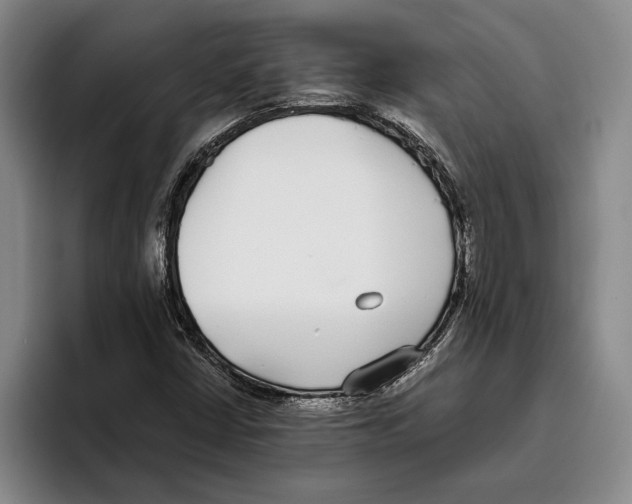 X0000096141402200802151325
