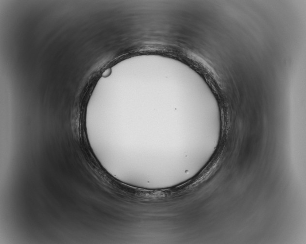 X0000096141403200802151325