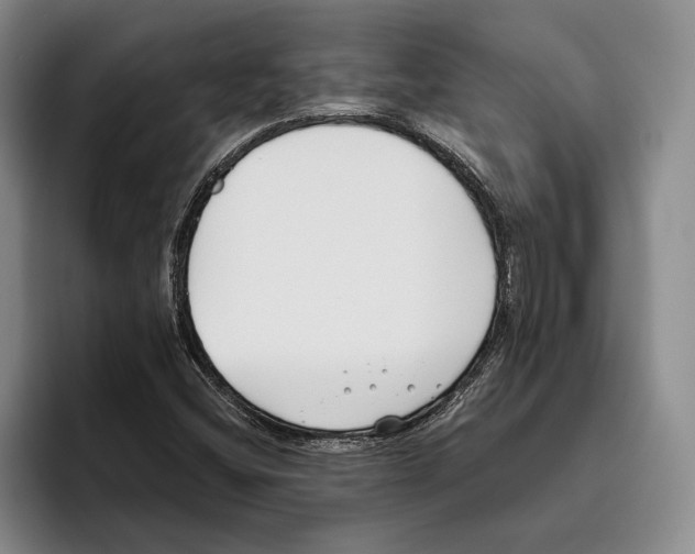 X0000096141404200802151325