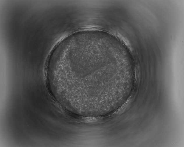 X0000096141405200802151325