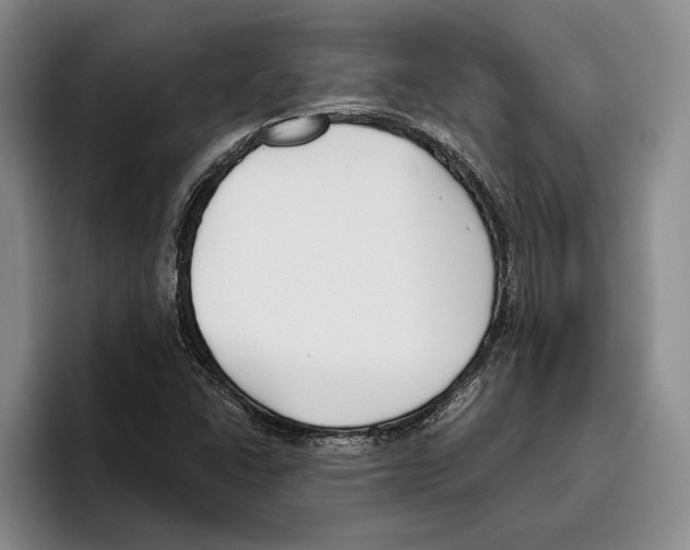 X0000096141406200802151325