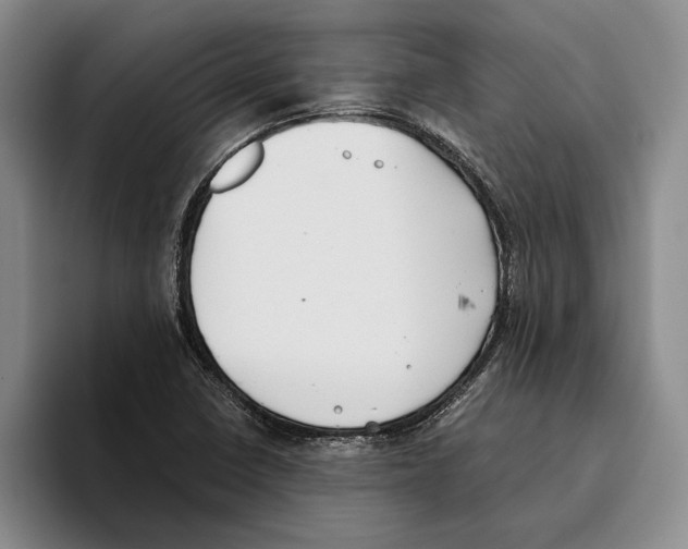 X0000096141410200802151325