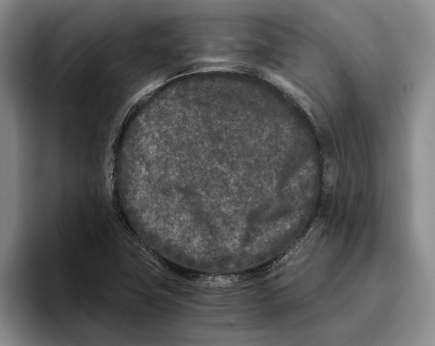 X0000096141411200802151325