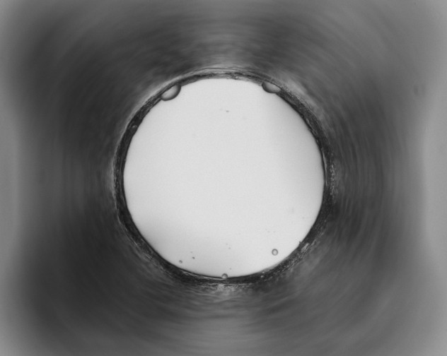 X0000096141412200802151325