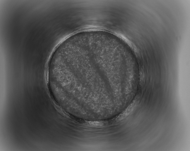 X0000096141413200802151325