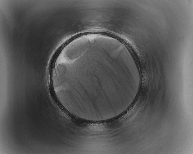 X0000096141414200802151325