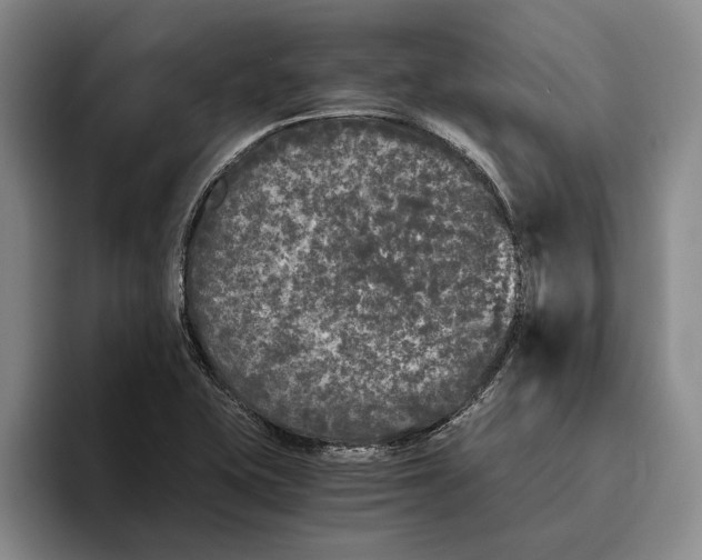 X0000096141415200802151325
