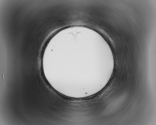 X0000096141416200802151325