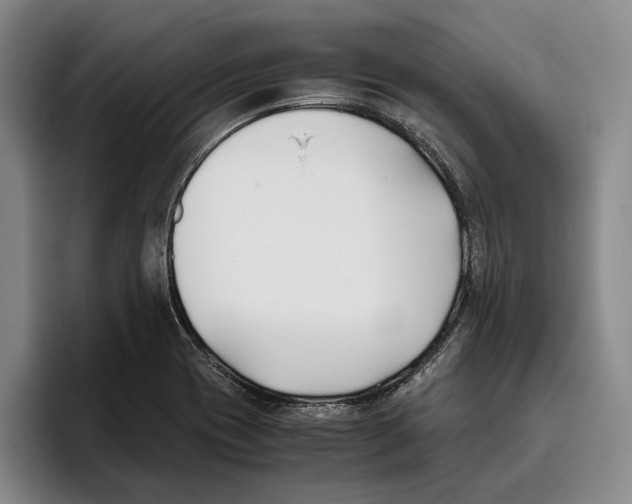 X0000096141417200802151325