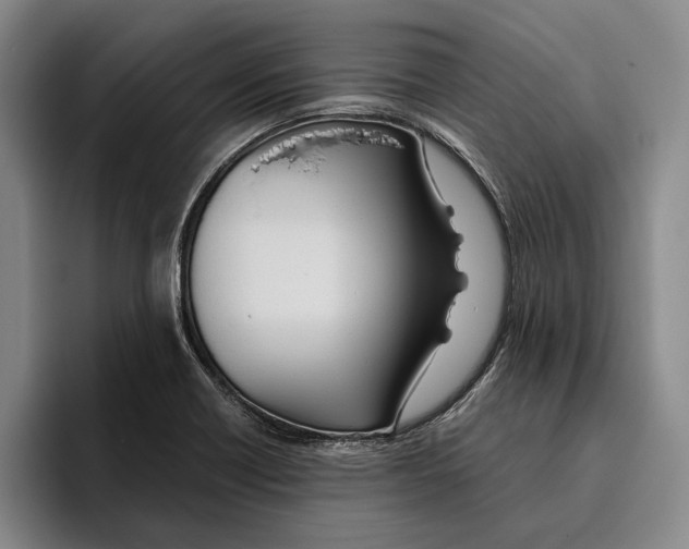 X0000096141418200802151325