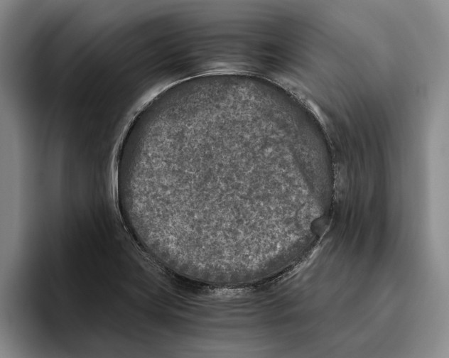 X0000096141419200802151325